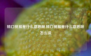 转口贸易是什么意思呀,转口贸易是什么意思呀怎么读