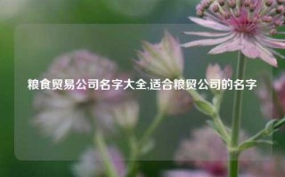 粮食贸易公司名字大全,适合粮贸公司的名字