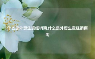 什么是外贸生意经销商,什么是外贸生意经销商呢