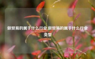 做贸易的属于什么行业,做贸易的属于什么行业类型