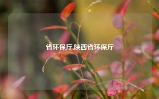 省环保厅,陕西省环保厅