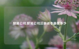 贸易公司,贸易公司注册资本最低多少