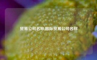 贸易公司名称,国际贸易公司名称