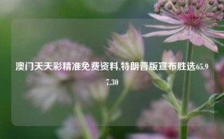 澳门天天彩精准免费资料,特朗普版宣布胜选65.97.30