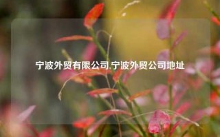 宁波外贸有限公司,宁波外贸公司地址