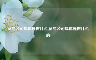 贸易公司具体是做什么,贸易公司具体是做什么的