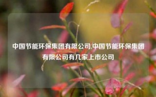 中国节能环保集团有限公司,中国节能环保集团有限公司有几家上市公司