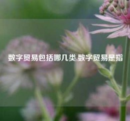 数字贸易包括哪几类,数字贸易是指