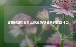 货物贸易国是什么意思,货物贸易有哪些种类