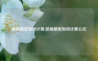 贸易顺差如何计算,贸易顺差如何计算公式