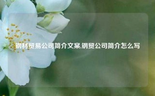 钢材贸易公司简介文案,钢贸公司简介怎么写