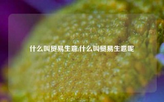 什么叫贸易生意,什么叫贸易生意呢