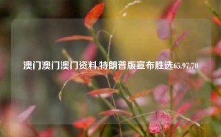 澳门澳门澳门资料,特朗普版宣布胜选65.97.70