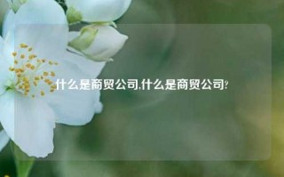 什么是商贸公司,什么是商贸公司?