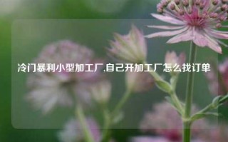 冷门暴利小型加工厂,自己开加工厂怎么找订单