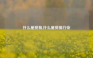 什么是贸易,什么是贸易行业