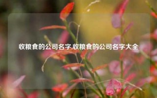 收粮食的公司名字,收粮食的公司名字大全