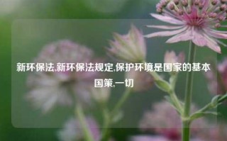 新环保法,新环保法规定,保护环境是国家的基本国策,一切