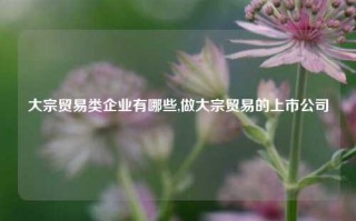 大宗贸易类企业有哪些,做大宗贸易的上市公司