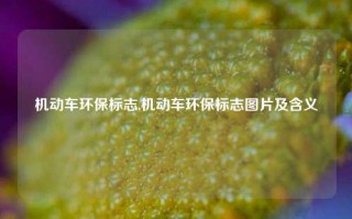 机动车环保标志,机动车环保标志图片及含义