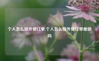 个人怎么接外贸订单,个人怎么接外贸订单难做吗