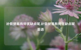 补偿贸易有何优缺点呢,补偿贸易有何优缺点呢英语