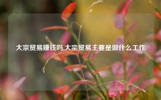 大宗贸易赚钱吗,大宗贸易主要是做什么工作