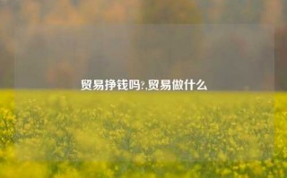 贸易挣钱吗?,贸易做什么