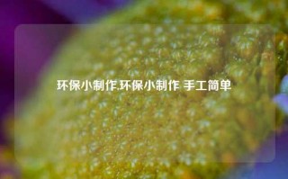 环保小制作,环保小制作 手工简单