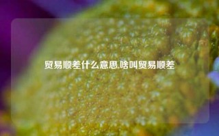 贸易顺差什么意思,啥叫贸易顺差