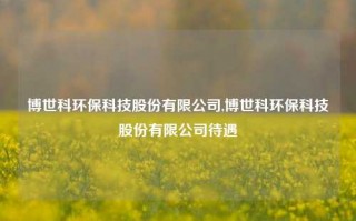 博世科环保科技股份有限公司,博世科环保科技股份有限公司待遇