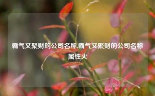 霸气又聚财的公司名称,霸气又聚财的公司名称属性火