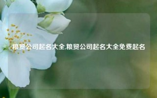 粮贸公司起名大全,粮贸公司起名大全免费起名