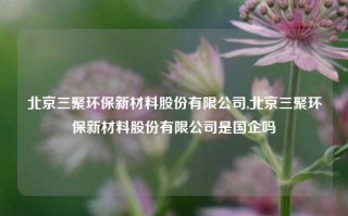 北京三聚环保新材料股份有限公司,北京三聚环保新材料股份有限公司是国企吗