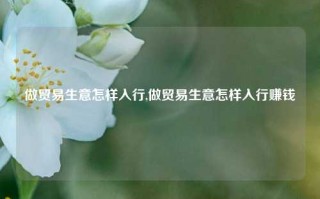 做贸易生意怎样入行,做贸易生意怎样入行赚钱