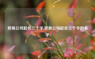 贸易公司起名三个字,贸易公司起名三个字的名字