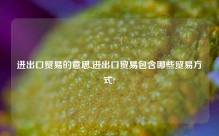 进出口贸易的意思,进出口贸易包含哪些贸易方式?