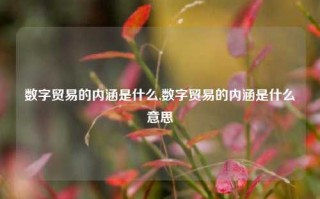 数字贸易的内涵是什么,数字贸易的内涵是什么意思