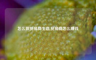 怎么做贸易商生意,贸易商怎么赚钱