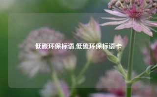 低碳环保标语,低碳环保标语卡