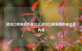 进出口贸易指的是什么,进出口贸易指的是什么内容