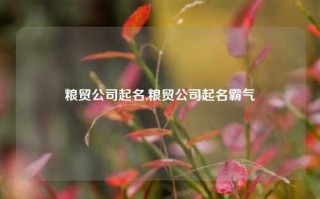 粮贸公司起名,粮贸公司起名霸气