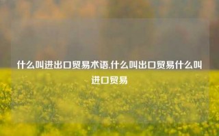 什么叫进出口贸易术语,什么叫出口贸易什么叫进口贸易