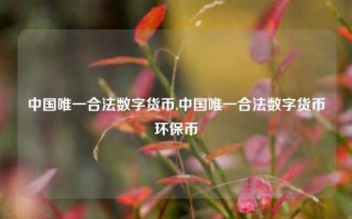 中国唯一合法数字货币,中国唯一合法数字货币环保币