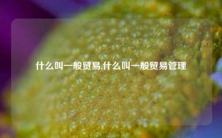 什么叫一般贸易,什么叫一般贸易管理