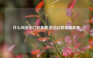 什么叫进出口贸易额,进出口贸易啥意思