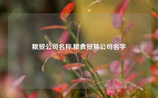 粮贸公司名称,粮食贸易公司名字