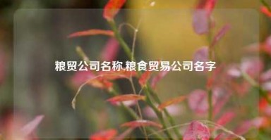 粮贸公司名称,粮食贸易公司名字