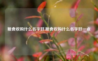 粮食收购什么名字好,粮食收购什么名字好一点