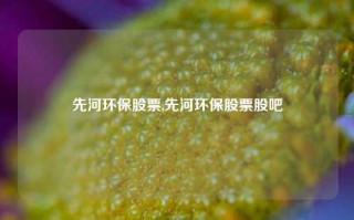 先河环保股票,先河环保股票股吧